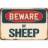 Lone+Sheep